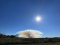Controlled forest fire burn off in rural Georgia sun beaming and smoke rising