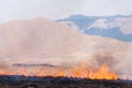 Controlled grass burning near Mount