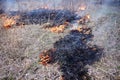 Controlled or prescribed burn of dry brush Royalty Free Stock Photo