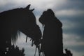 The conture of a girl and her horse Royalty Free Stock Photo