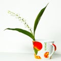 Convallaria majalis, Lily of the Valley, Royalty Free Stock Photo