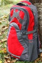 Convenient and high-quality camping backpack, red - gray color set near a tree at a camping