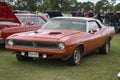 Plymouth cuda convertible Royalty Free Stock Photo