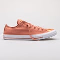 Converse Chuck Taylor All Star Brush off Leather Toecap pink blush sneaker