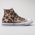 Converse Chuck Taylor All Star high vintage khaki and dark chocolate sneaker