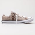 Converse Chuck Taylor All Star OX brown, black and white sneaker