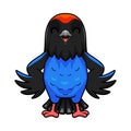 Cute blue manakin bird cartoon