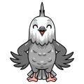 Cute whiteface cockatiel bird cartoon