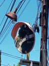 Convex mirrors at road intersections petrify motorists