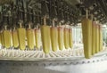 Conveyor automatic lines for the production of ice cream Royalty Free Stock Photo