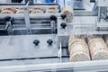 Conveyor automatic tape for the production of useful whole-grain extruder crispbread. Royalty Free Stock Photo