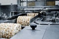 conveyor automatic tape for the production of useful whole-grain extruder crispbread. packing organic multi-barley briquetted cris Royalty Free Stock Photo