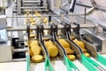 Conveyor belt with biscuits in a food factory - machinery equipm Royalty Free Stock Photo