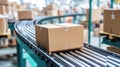 A conveyor belt with cardboard boxes in a warehouse setting Royalty Free Stock Photo