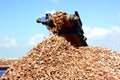 Conveyor belt on crusher