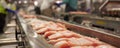 A conveyor belt in a fish processing plant, with fillets being cleaned, cut, and packaged, ensuring Royalty Free Stock Photo