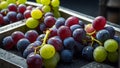 conveyor belt with fresh grapes transportation