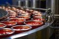 Conveyor belt magic Canned sardines in tomato sauce production line