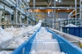 Conveyor belt in a modern cheese factory with fresh cheese curds