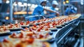A conveyor belt in a production line transporting numerous pizzas along the belt Royalty Free Stock Photo