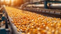 Conveyor Belts Transporting Corn Kernels for Ethanol Processing in Industrial Setting Royalty Free Stock Photo