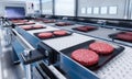 Conveyor in a factory of ready-made beef hamburger patties