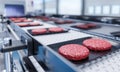 Conveyor in a factory of ready-made beef hamburger patties