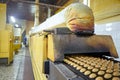 Conveyor line with many cooked spice cakes at the confectionary plant. Royalty Free Stock Photo