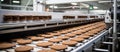 A conveyor track filled with cookies moves inside a bakery Royalty Free Stock Photo