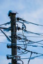 A convoluted mess of wires and cables clutter a wooden telephone pole and street lamp UK