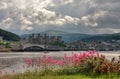 Conwy Castle