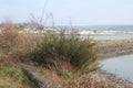 Conwy river at Pont Fawr, Deganwy, North Wales