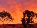 Coober pedy sa Australia sun set opal mining town Royalty Free Stock Photo