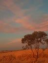 Coober pedy Sun set and opals South Australia mining town Royalty Free Stock Photo