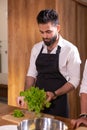 Cook adding some parsley to dish. Chef preparing food and meal cut herbs in a blender in kitchen, chef cooking