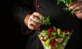 The cook adds fresh parsley to a vitamin salad for lunch. The concept of preparing a vegetarian dish with the hands of a chef Royalty Free Stock Photo