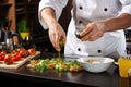 Cook in apron adding some sauce to dish. Cropped chef preparing food, meal, in kitchen, chef cooking, Chef decorating dish, Royalty Free Stock Photo