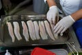 Cook arranging fish on a tray