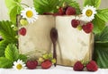 Cook book with strawberries Royalty Free Stock Photo