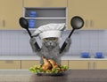 Cook cat sitting in the kitchen Royalty Free Stock Photo