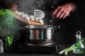 Cook or chef cooks dumplings in saucepan in the restaurant kitchen. Close-up of hands of the cook during work Royalty Free Stock Photo