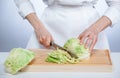 Cook chopping savoy cabbage Royalty Free Stock Photo