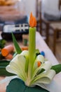 Cook cut into vegetables for decorations, selective focus