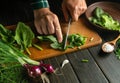 The cook cuts fresh spinach for a vegetable salad on a cutting board. Cooking vegetarian food at kitchen. The idea of a vegetable Royalty Free Stock Photo