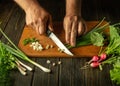 The cook cuts the onion with a knife on the kitchen cutting board. Vegetarian products or fresh vegetables on the kitchen table Royalty Free Stock Photo