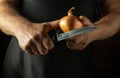 A cook cuts an onion to add to food. Close-up of the chef hands holding an onion and a knife
