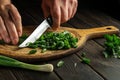 The cook cutting green onion on a cutting board with a knife for preparing a vegetarian dish. Peasant food Royalty Free Stock Photo