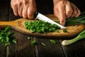 Cook cutting green onion on a cutting board with a knife for preparing a vegetarian dish. Peasant food Royalty Free Stock Photo