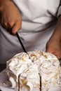 Cook cutting a Vacherin Royalty Free Stock Photo