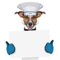 Dog cook chef banner Royalty Free Stock Photo